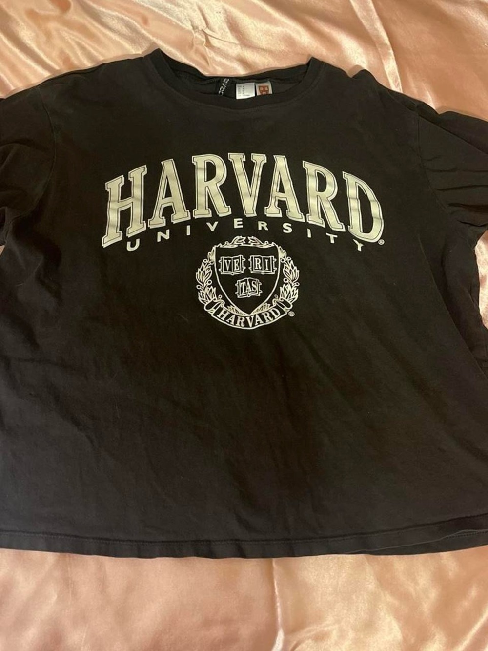 Harvard University Brown Logo Tee